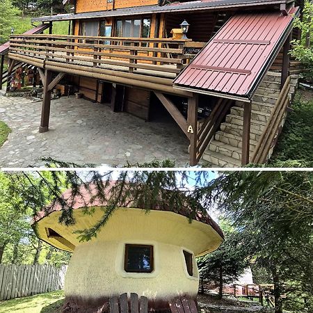Art Apartments Minic 콜라신 외부 사진