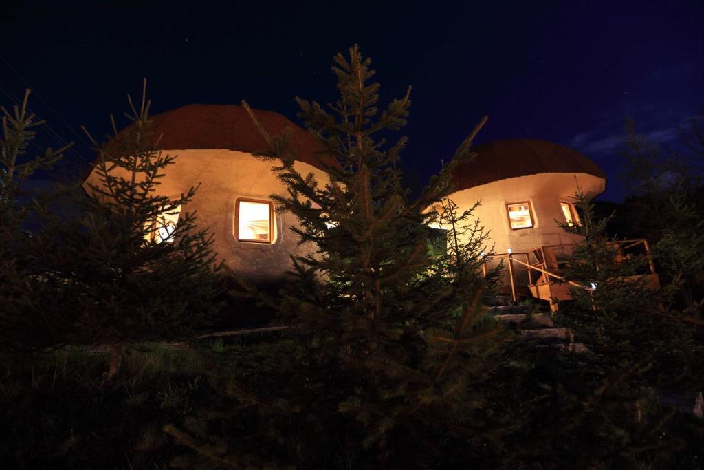 Art Apartments Minic 콜라신 객실 사진